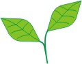 Hojas verdes